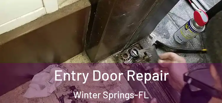  Entry Door Repair Winter Springs-FL