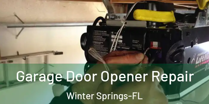  Garage Door Opener Repair Winter Springs-FL