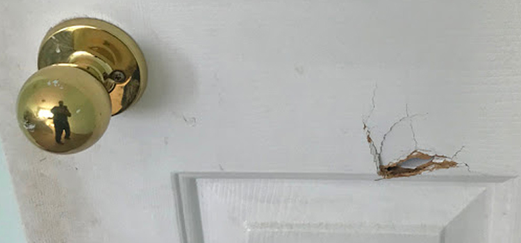 interior door hole repair Winter Springs