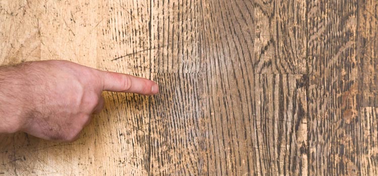 Wood Door Scratch Repair in Winter Springs
