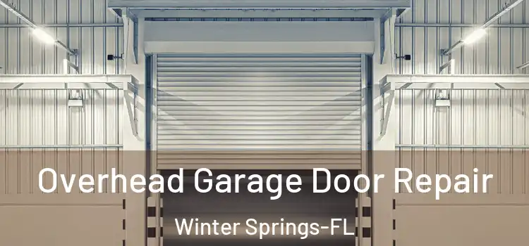  Overhead Garage Door Repair Winter Springs-FL