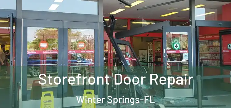 Storefront Door Repair Winter Springs-FL